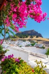 Lindos and flowers