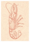 Affiche de fruits de mer de homard