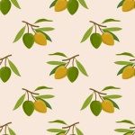 Olives Fruit Pattern Background