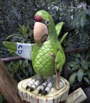 Papagaio, Costa Rica