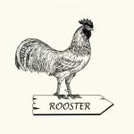 Rooster Clipart Illustration