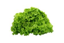Salată Legume Legume Clipart