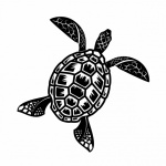 Clipart țestoasă de mare