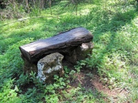 Split Log Fashioned Into A Bench