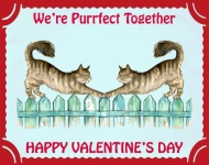 Tarjeta de gatos lindos de San Valentín