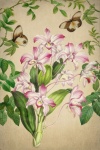 Arte de ilustração floral vintage