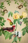 Vintage kwiatowy motyle ptaków
