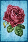 Vintage art rose flower
