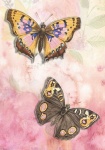 старинные художественные бабочки