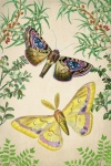 Винтажные художественные бабочки цветы