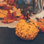 Warty pumpkin