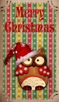 Christmas postcard owl