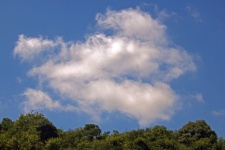 White fluffy cloud in a blue sky