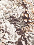 White Pine Cones Background
