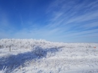 冬の霜の大草原の天気