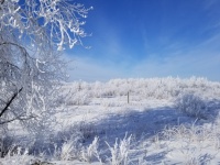 Winter-Frost-Prärie-Wetter