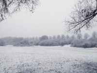 Winter Landschaft Natur