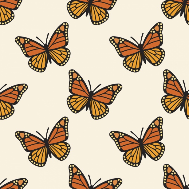 Butterflies Pattern Background Free Stock Photo - Public Domain Pictures