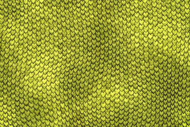 Green Reptile Scales Texture Free Stock Photo - Public Domain Pictures