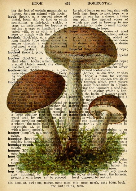 vintage-mushrooms-dictionary-page.jpg
