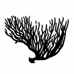 Clipart de silhouette d'algues