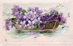 Stara pocztówka z kwiatami