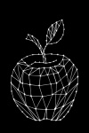Jablko, skica, čárová grafika
