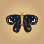 Butterfly On Gold Background