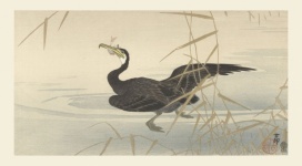 Arte vintage giapponese cormorano