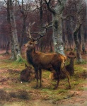 Deer Stag Vintage Art