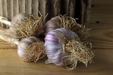 Bulbi di aglio essiccati di colore viola