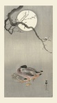Arte vintage japonesa de patos