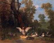 Ducks Vintage Art Painting