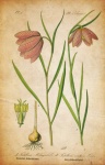 Flowers Vintage Poster