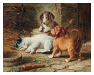 Dog cat art paintings