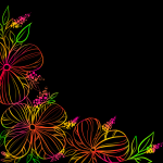 Colorful Flowers Illustration