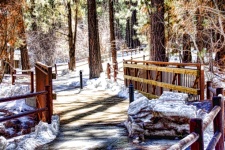 雪の森遊歩道
