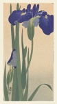 Iris Flowers Japanese Vintage Art