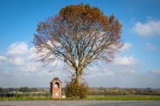 Paysage, chapelle, arbre