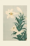Lilies Japanese Vintage Art