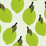 Fondo del reticolo della frutta dei lime