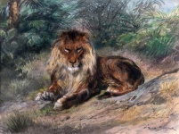 Lion Vintage Art Print