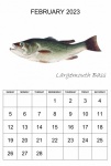Monthly Calendar February