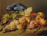 Parrot Grapes Vintage Art