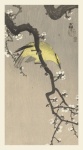 Plum Blossom Japanese Vintage Art