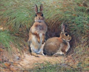 Rabbit Bunny Vintage Art