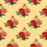 Roses Blossoms Flowers Pattern
