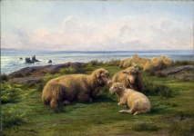 Pintura de arte vintage de ovelha