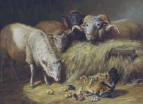 Arte vintage de ovejas