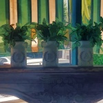 Three Plant Pots at a Tea House